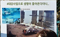 [포토]환경단체, '4대강사업으로 생명이 돌아온다더니'