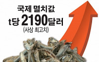 기후변화로 국제 멸치값 비상… t당 2190달러로 사상최고