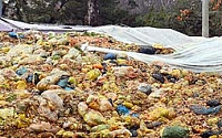 [포토]산처럼 쌓여만 가는 음식물쓰레기