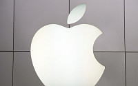 애플 또 특허 무효...독일 법원 &quot;'밀어서 잠금해제' 특허 무효&quot; 판결