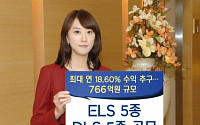 KDB대우증권, ELS 5종·DLS 5종 공모