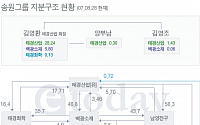 송원그룹 지분구조 현황