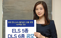 KDB대우證, ELS 5종·DLS 6종 공모