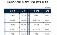 [코스닥 기관 순매수 상위 10개 종목]