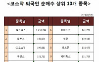 [코스닥 외국인 순매수 상위 10개 종목]