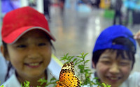 [포토]함평군 나비 관람하는 아이들