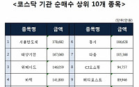 [코스닥 기관 순매수 상위 10개 종목]