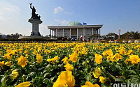 [포토]꽃단장 하는 국회앞 광장