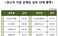 [코스닥 기관 순매도 상위 10개 종목]