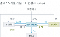 엠에스씨계열 지분구조 현황