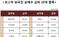 [코스닥 외국인 순매수 상위 10개 종목]