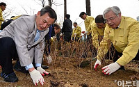 [포토]식목일 맞아 묘목 심는 신충식 농협은행장-문용린 서울시 교육감