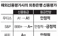 외환은행 주식교환 효과 해외가 답했다