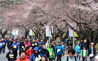 [사랑의 봄 꽃길 걷기대회] 참가자 1000여명, 가족과 봄 꽃길 나들이