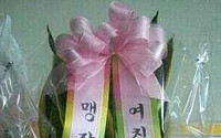 맹장의 소중함 화제, 네티즌들 "아픈 맹장에 비수 꽂은 야속한 친구"