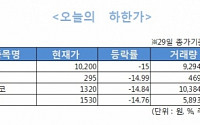 [오늘의 하한가]감자결정 ·자금조달 검토 등 ‘악재’