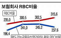 보험사 지급여력비율 거품 많다