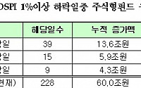 주식형펀드, 하락장에서 오히려 자금유입 확대