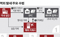 국세청, 역외탈세 혐의 한국인…검증 후 세무조사