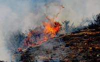 [포토]캘리포니아 산불에 수천명 대피