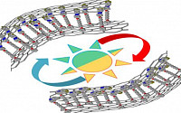 성균관대 이효영 교수, 휘어지는 투명 유기분자 메모리 소자 개발