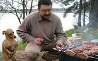 한 입만 먹고 싶은 강아지..."평소에도 그렇게 겸손하렴~"
