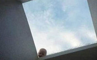 가장 무서운 인형 “누가 천장에 아기를 올려놨을까?…완전 ‘깜놀’”