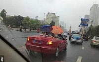 스포츠카 주인의 집념...&quot;빗속 오픈카 허세, 우산 2개 안습이네~&quot;