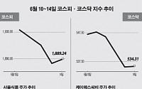 [베스트 &amp; 워스트]코스닥, 최대주주 지분매각 ‘비아이이엠티’ 뚝