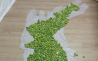 매실로 만든 한반도 "장인이 빚은 솜씨?…독도까지 섬세한 묘사"