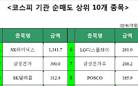 [주간 코스피 기관 순매도 상위 10개 종목]