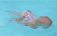 [붐업영상]될 성부른 수영천재? 16개월 아기의 수영 실력