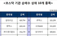 [코스닥 기관 순매수 상위 10개 종목]