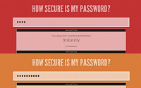 '비밀번호 안전검사' 사이트 등장, 직접 입력해보니…