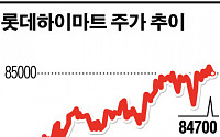 [공시 돋보기] 롯데하이마트 임원들, 무더기 공시 위반 논란