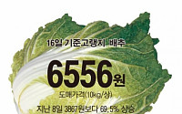 [그래픽뉴스] 장마 영향…고랭지 배춧값 8일만에 69.5%↑