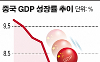 중국 경제, 잇단 경고음