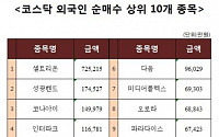 [코스닥 외국인 순매수 상위 10개 종목]