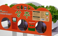 롯데마트,‘길러 먹는 상추’5000원에 판매