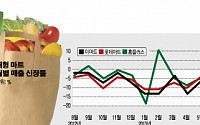 [멈춰버린 기적 새로 쓰자] 대형마트 상반기 ‘마이너스 성장’