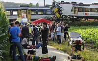 스위스 열차 정면충돌, 44명 부상