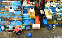 [포토]한산한 노량진 수산시장