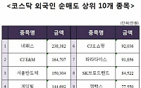 [코스닥 외국인 순매도 상위 10개 종목]