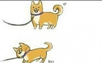 산책 하기 싫은 개..."주인과의 밀당에서 승리하다니, 대박!"