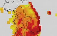 [포토]폭염에 시달리는 한반도… 울산 40도까지