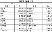 [이슈 따라잡기]외국인 ‘화금전차’ 타고 씽씽