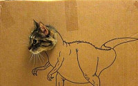 티라노사우루스 빙의한 고양이, “나만 귀여운거니?”