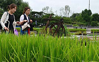 [포토]가을의 문턱 ‘처서(處暑)’