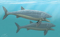 15m ‘진격의 물고기’, 리드시크티스는 수염고래 조상?