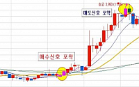 ‘미친 주식’ 3년 만에 70,800% 황금도끼가 뭐 길래?